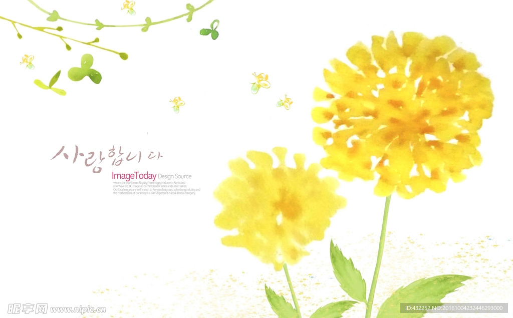 手绘小花