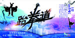 跆拳道 武术 功夫 幻影