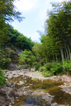 浙东小九寨 潭水