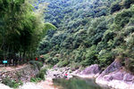 浙东小九寨 山林