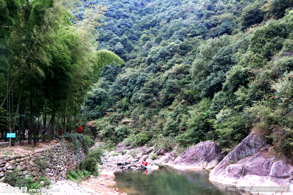 浙东小九寨 山林