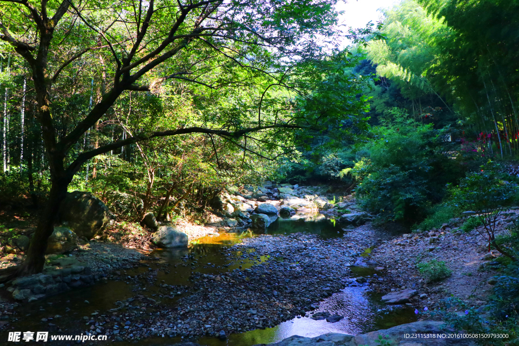 浙东小九寨 溪水