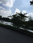 公园