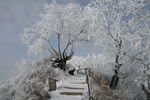 雪景