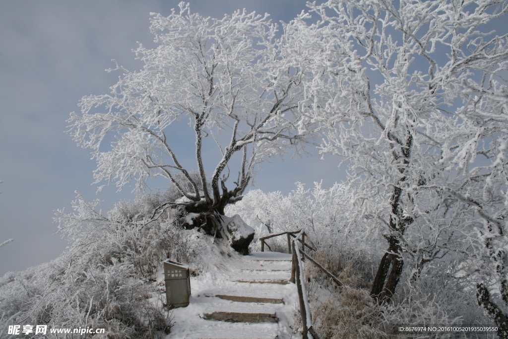 雪景