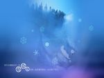 冬日雪绒花写真