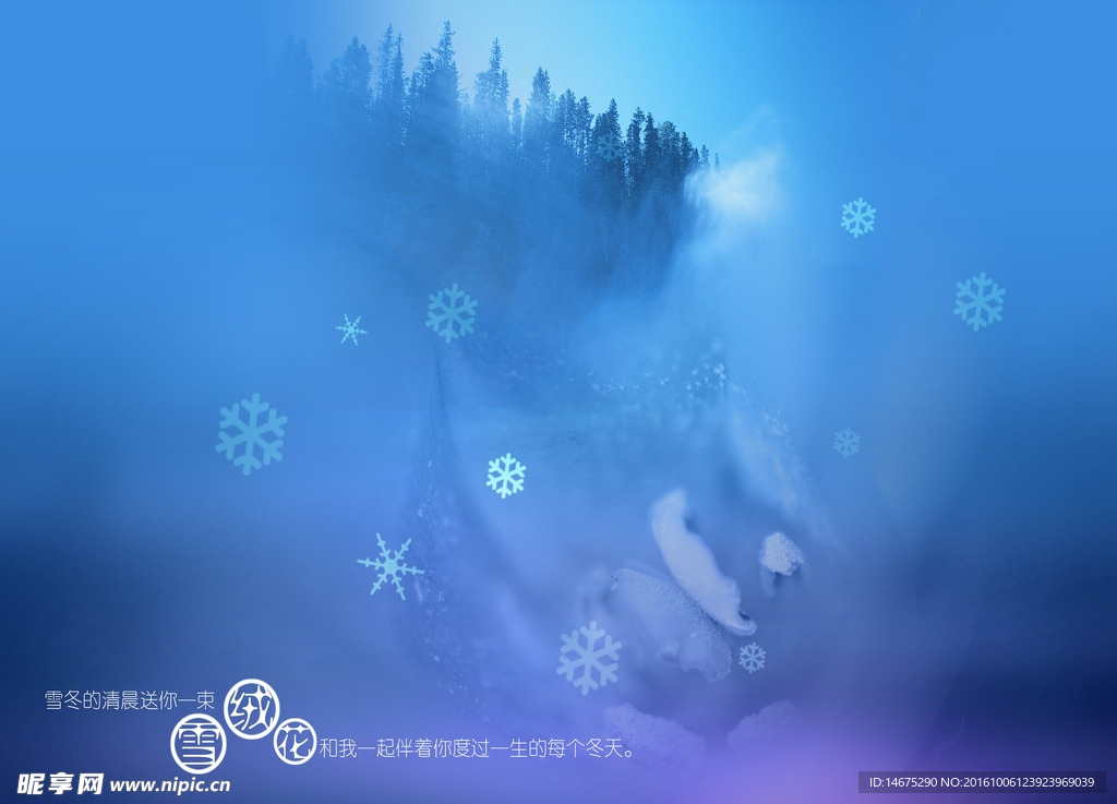 冬日雪绒花写真