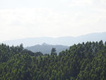 青山