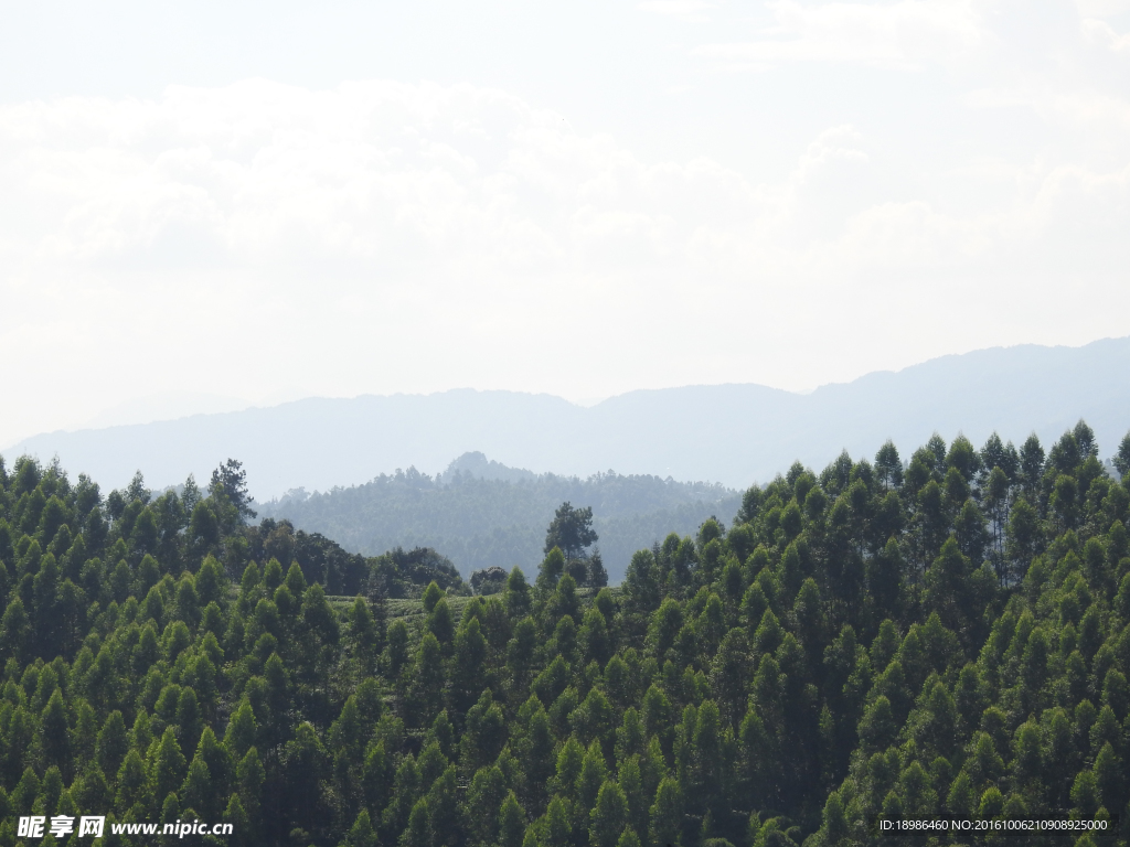 青山