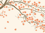 枫叶