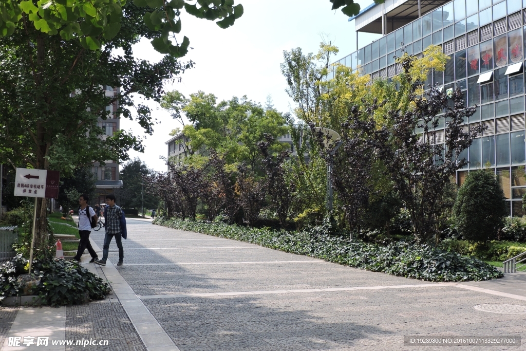 云南师范大学风景