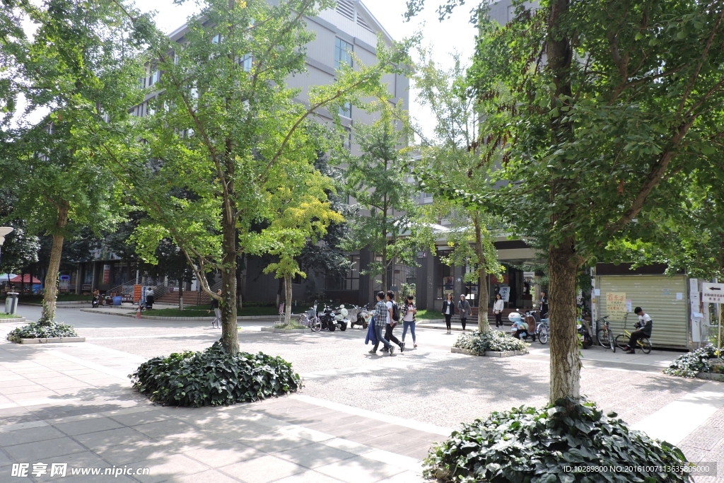 云南师范大学风景