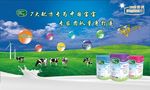 奶粉海报