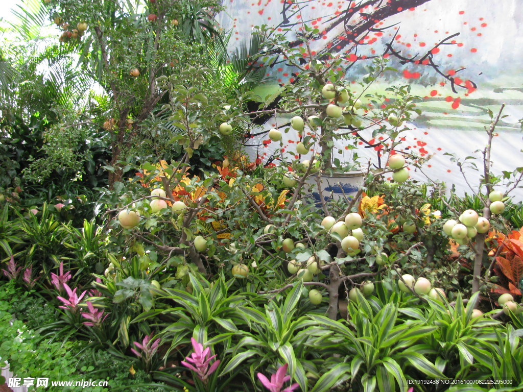 花坛美景