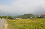 岘港田园