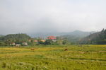 岘港田园