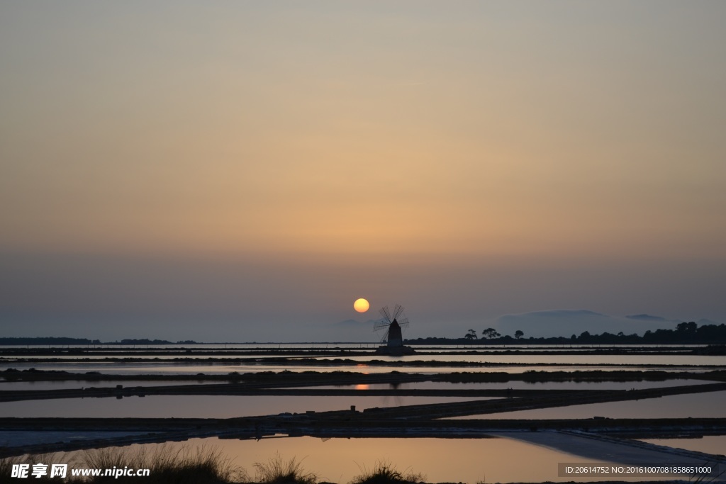 夕阳下的稻田