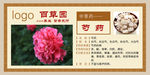 芍药中草药介绍