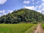山川的田野