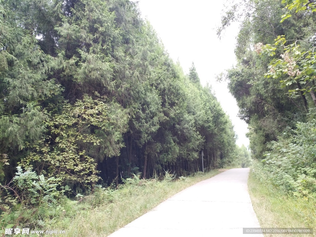 道路