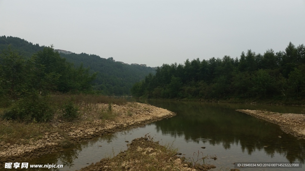 午后的河边风景