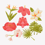 手绘鲜花