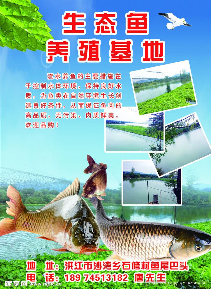渔业海报