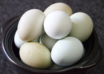 鸡蛋 七彩山鸡蛋