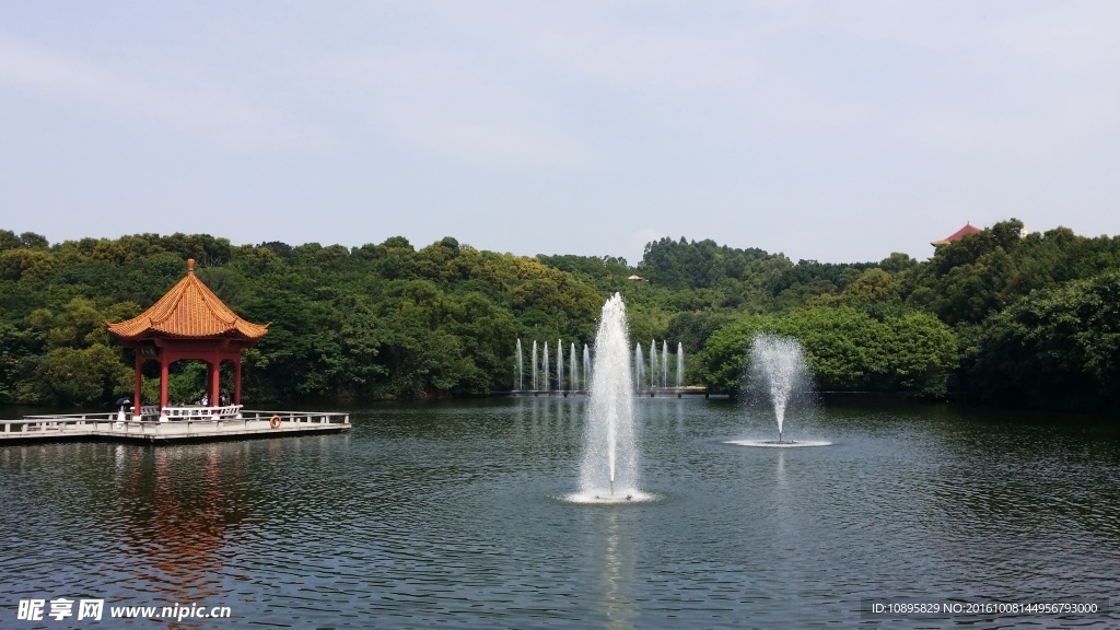 莲花山风景