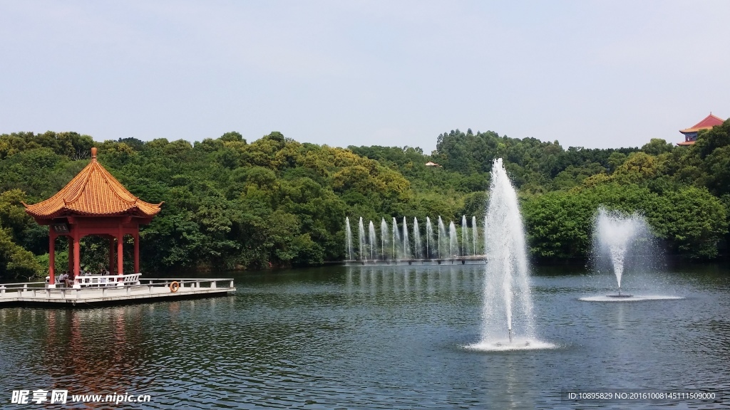 莲花山风景