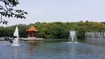 莲花山风景