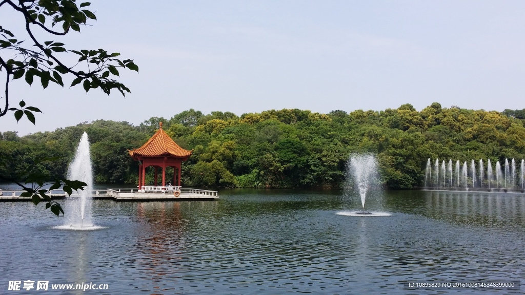 莲花山风景