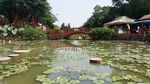 莲花山风景