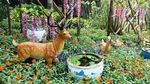 莲花山风景