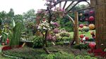 莲花山风景