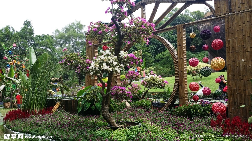 莲花山风景