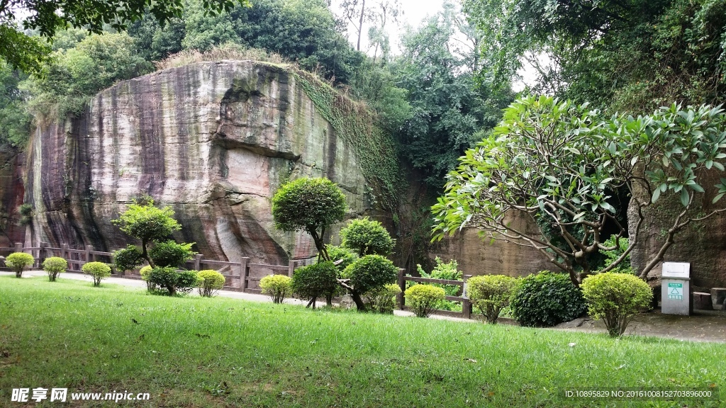 莲花山风景