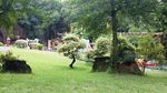 莲花山风景