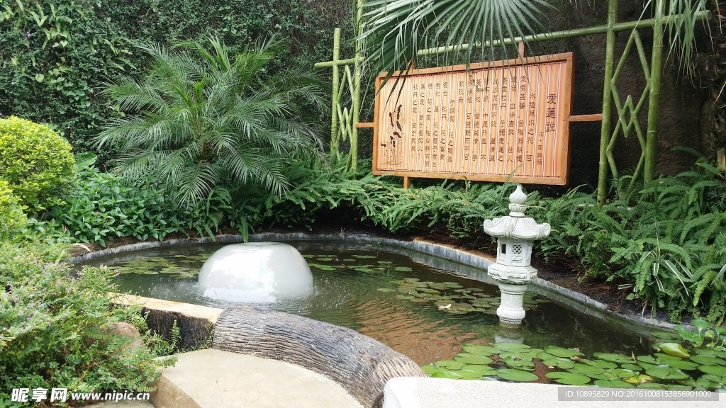 莲花山风景