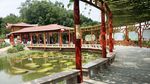 莲花山风景