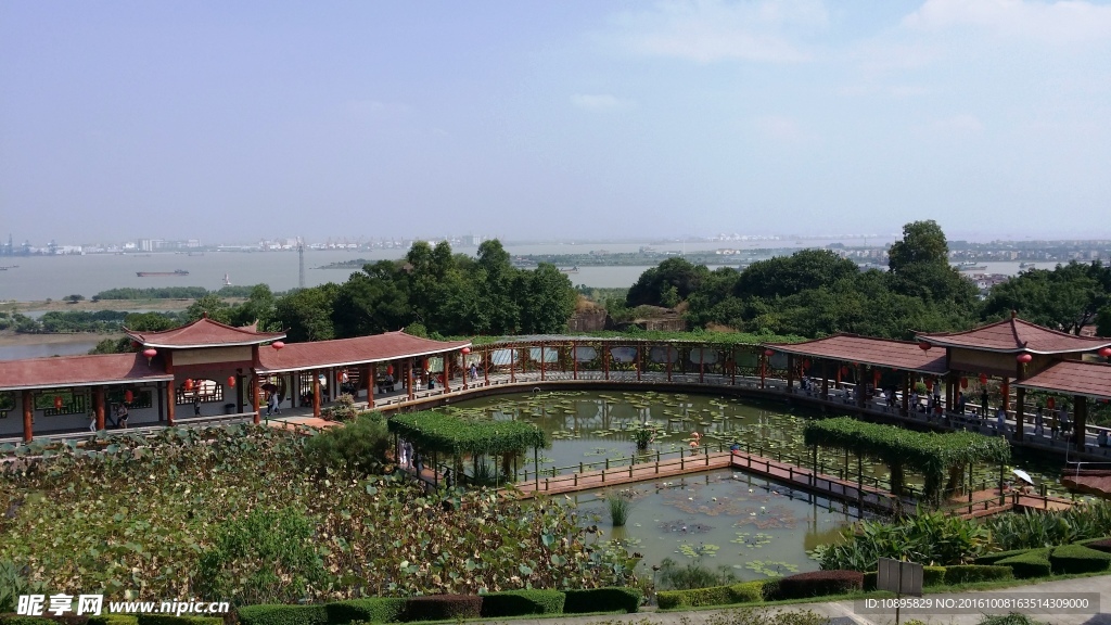 莲花山风景