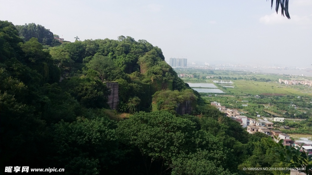 莲花山风景