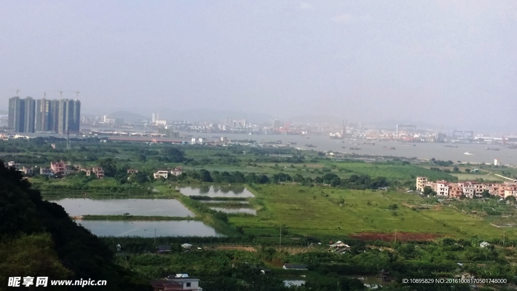 莲花山风景