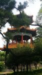 莲花亭