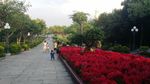 莲花山风景