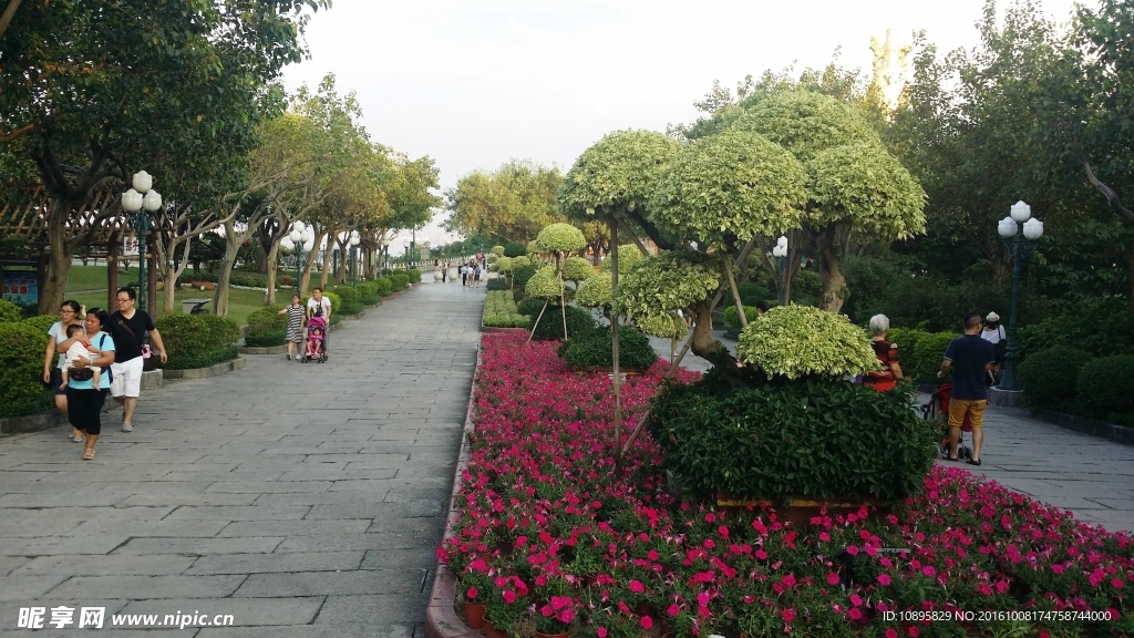 莲花山风景
