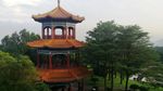 莲花亭