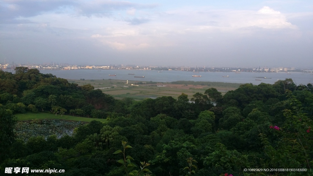 莲花山风景