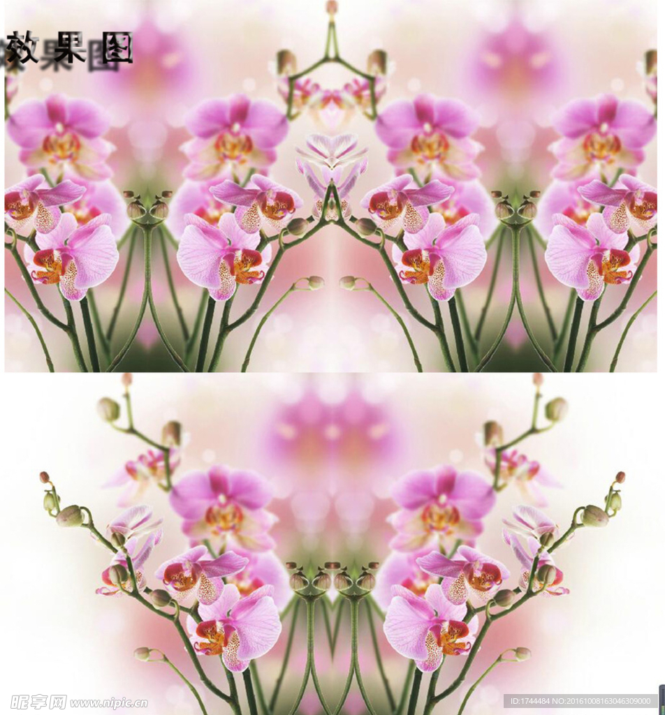 特效蝴蝶兰粉色花朵视频背景