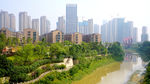 龙王港畔风景